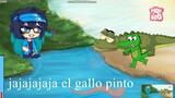 El Gallo Pinto jajajaja