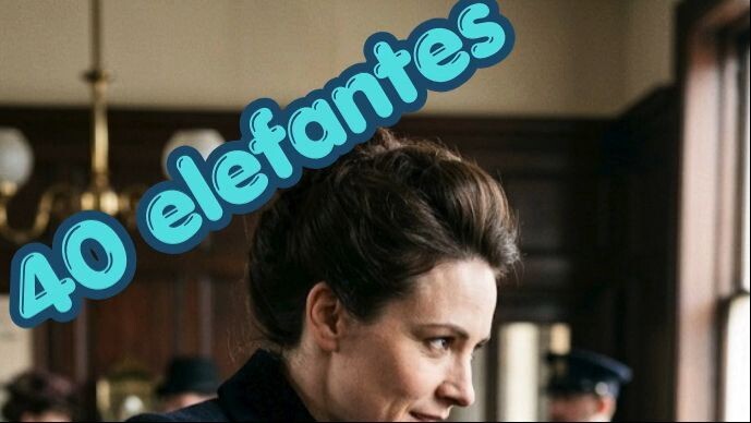 As 40 elefantes
