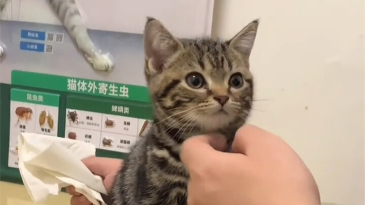 Bánh răng định mệnh đã bắt đầu quay rồi