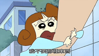 “五岁的小葵穿越过去 拯救野原一家“