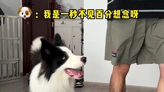 My dog's reaction when different people come home...