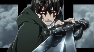 Captain cuts the monkey, naked-eye 3D