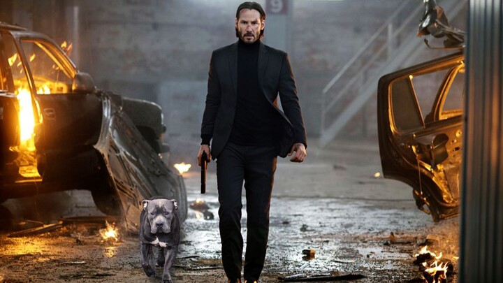 [Dark Demon] John Wick single-handedly kill 211 people