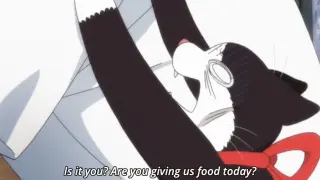 Rei giving food to cats