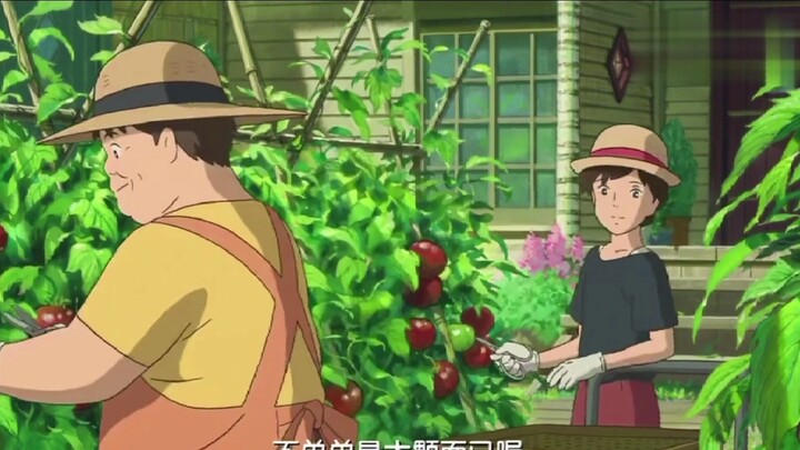 "Spring of Hayao Miyazaki"