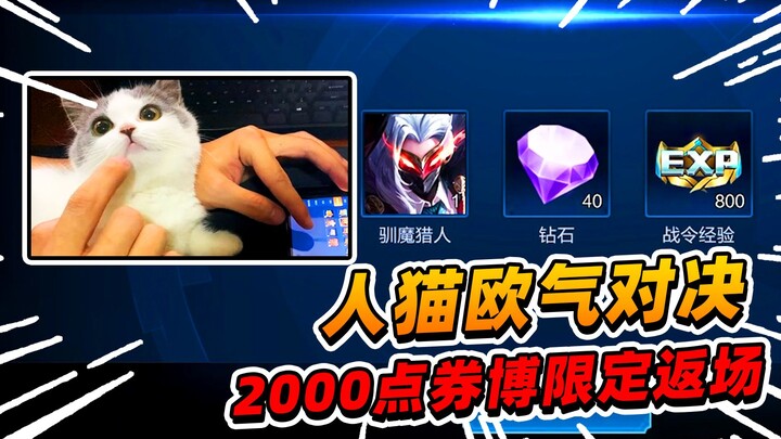 A Fei: Bet 2,000 Vouchers on a Limited Skin Comeback—Human vs. Cat in an Epic Lucky Showdown!