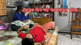 অনেক দিন পড় বাংলাদেশের ভ্লগ ll এত দিন কোথায় ছিলাম ll Ms Bangladeshi Vlogs ll