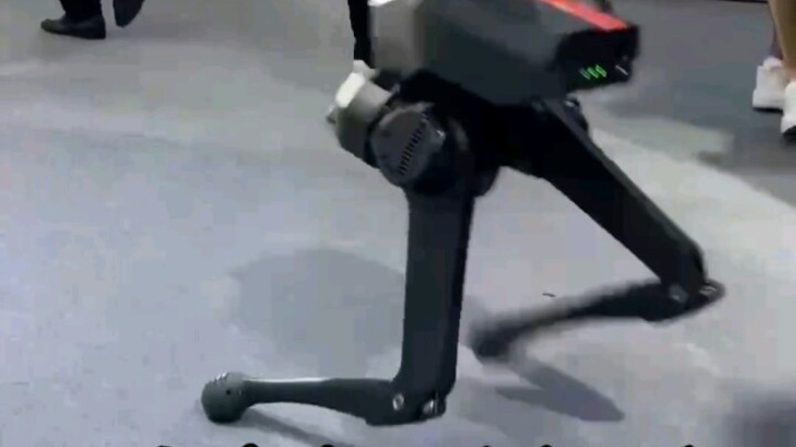 A small biped that doesn’t fall when pushed, pulled, or kicked.