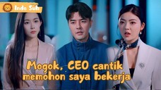 Diremehkan dan Dihina, Tak Ada yang Tahu Dialah Bos Tertinggi di Balik Semua Kekayaan Ini!