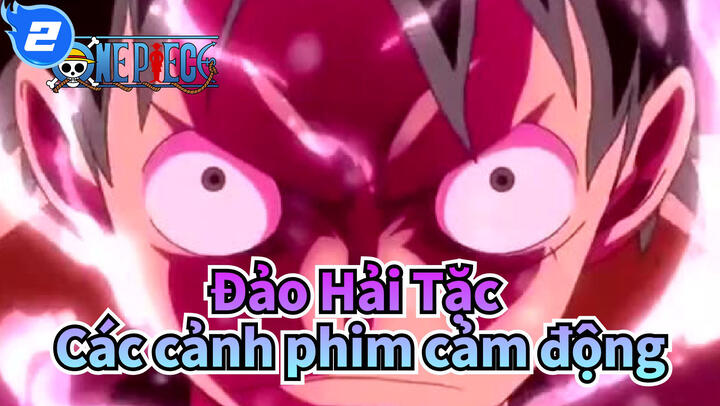 Awakening Devil Fruit Ni Law At Kid One Piece alog Analysis Bilibili