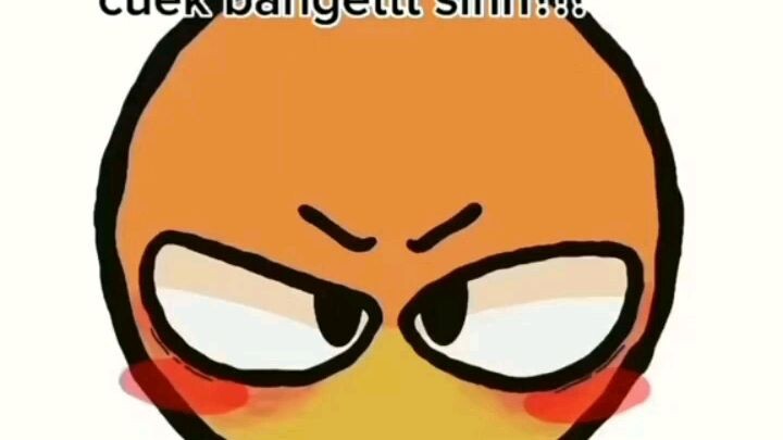 tentu saja semuanya untuk husbu😌