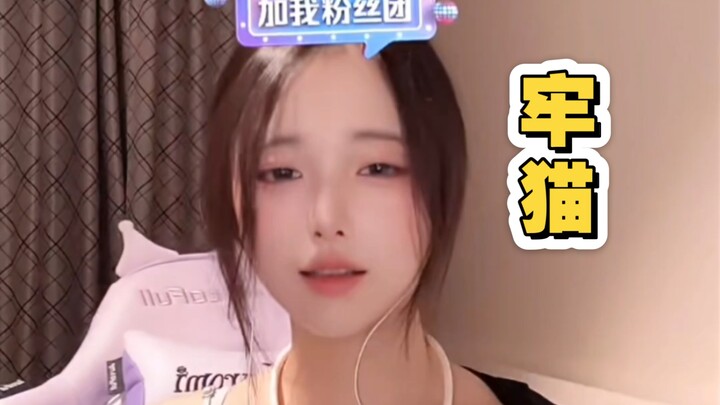 Quần đùi + áo thun cổ lọ [Con mèo gì]
