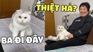 Tinh Tinh | Bị mẹ và con trai ghét bỏ là cảm giác như thế nào 🤣 | Pets TV