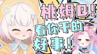 【小千村柚柚】桃姆Q就是一切的罪魁祸首！