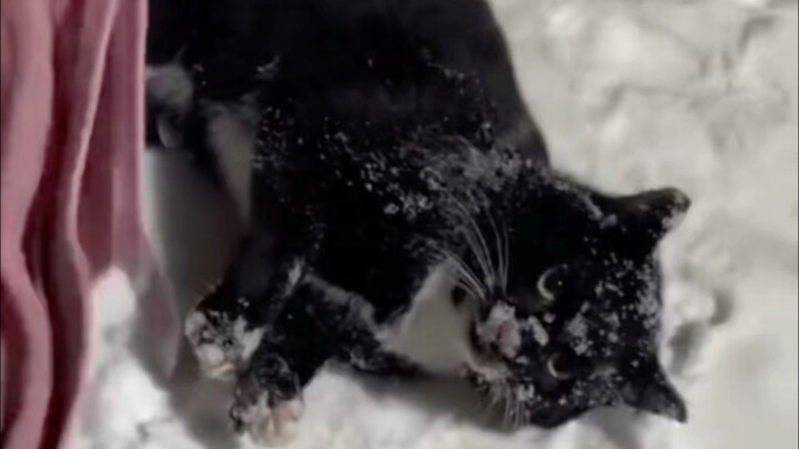 Is there any hope for this situation? Watch it and you’ll laugh so hard your abs will show!