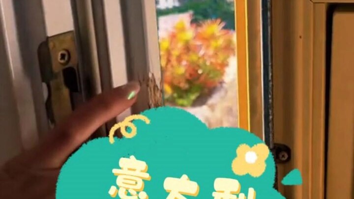 อิตาลี-ปอร์โตฟิโน่