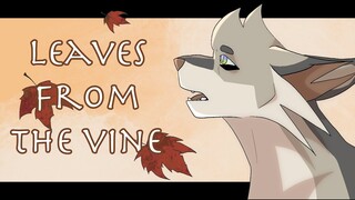 ~Longtail ::Leaves From the Vine:: ~