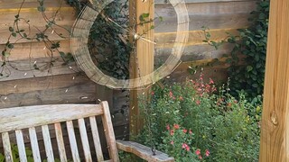 The whole process of a spider weaving its web in the backyard—it feels even more exhausting than goi