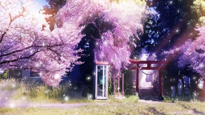 "There are cherry blossoms in the mountains that are named good, the trees themselves are nameless a