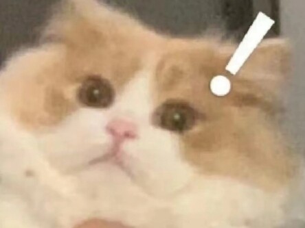 اعتقدت في الواقع أن الحافلات تطورت إلى حافلات ذات رأسين.