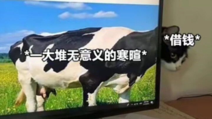 ภาพมีมสุดฮา｜เมื่ออัธยาศัยดีแบบไม่รู้ที่มาที่ไปเกิดขึ้นอย่างกะทันหัน