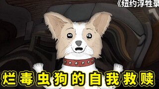 珍爱生命远离毒品，一直烂毒虫狗的自我救赎之路，美国浮牲录