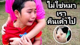 (Eng Sub)แม่กาเหว่า3 ช่วยชีวิตลูกหมาไว้แต่เจ้าของมาทวงคืน | เจไจ๋แปนฟิล์ม (J Jai Pan)