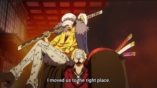 Trafalgar Law Trolling Strawhats 😂 | Chopper | Sanji | Luffy | Usopp | Zoro #onepiece #funnymoments