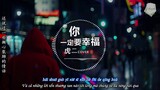 [Vietsub+Pinyin] Em nhất định phải hạnh phúc (你一定要幸福) - Hổ Nhị (虎二) | Nhạc Tik tok