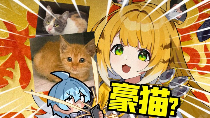 สามวันมานี้ฉันบังเอิญได้แมวมาสองตัว ถ้าได้วาด Orange Fu Fu จะโชคดีไหมนะ?