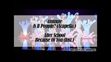 [MASHUP] 4minute_물 좋아? (Is It Poppin'?) (Acapella.) + After School_ 너때문에 (Because of You) (Inst.)