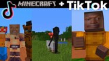 Minecraft TIKTOK MEMES Compilations...