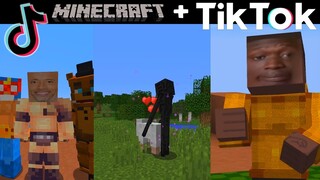 Minecraft TIKTOK MEMES Compilations...