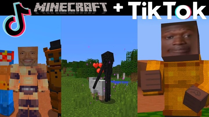 Minecraft TIKTOK MEMES Compilations...