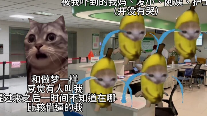 【Meme mèo】Đã khéo léo né được chuyện bị thúc giục sinh con…