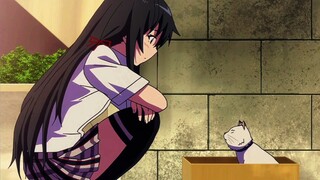 Yukino's funny cat was discovered by Hikigaya, the sixth child, and Yukino angrily criticized Hikiga