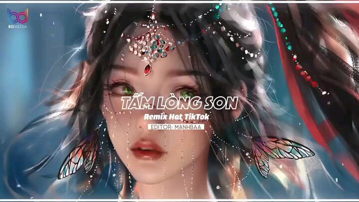 tấm lòng son (Remix)