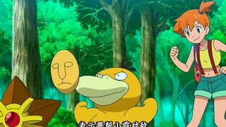 全员出击！火箭队的最后一场捕捉计划！