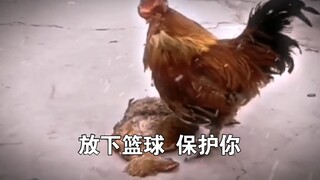 放下篮球，却保护不了你