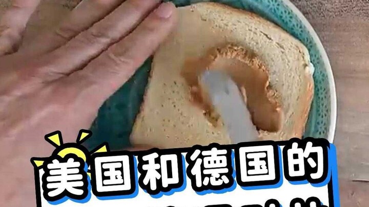 A Comparison of Schooling in the U.S. and Germany