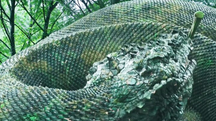 A kind-hearted boy saved a giant snake, and in return, the snake spent its entire life protecting hi