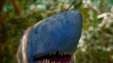 \\Mummy.Shark.2024.\\