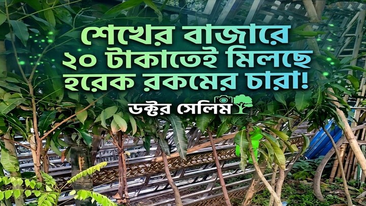 Shekher Bazar Monohardi