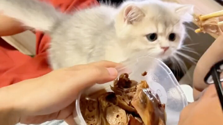 “วันนี้กล้าด่าหน้า พรุ่งนี้ก็กล้าแฉปาก”