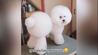 เด็กๆทำตัวแปลกๆน้าาา