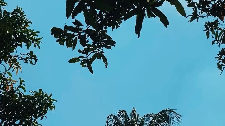 নীল আকাশের । ভিডিও-০৮