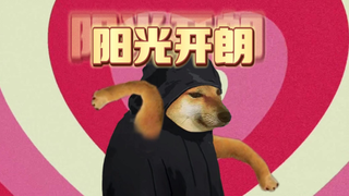 阳光开朗大张三