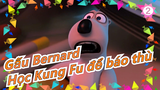 Gấu Bernard -Mùa 1 Học Kung Fu để báo thù!_B