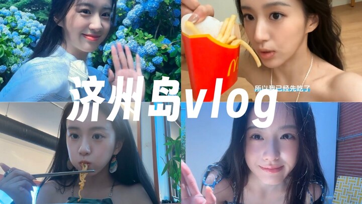 Bao Shangen I Vlog Perjalanan ke Pulau Jeju (Bagian 1) I Menikmati Bunga Hydrangea I Pensiun Ingin J