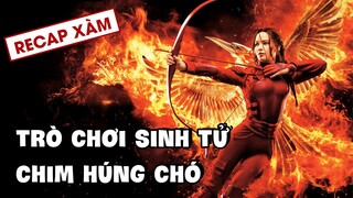 Recap Xàm #104: Trò Chơi Sinh Tử: Chim Húng Chó